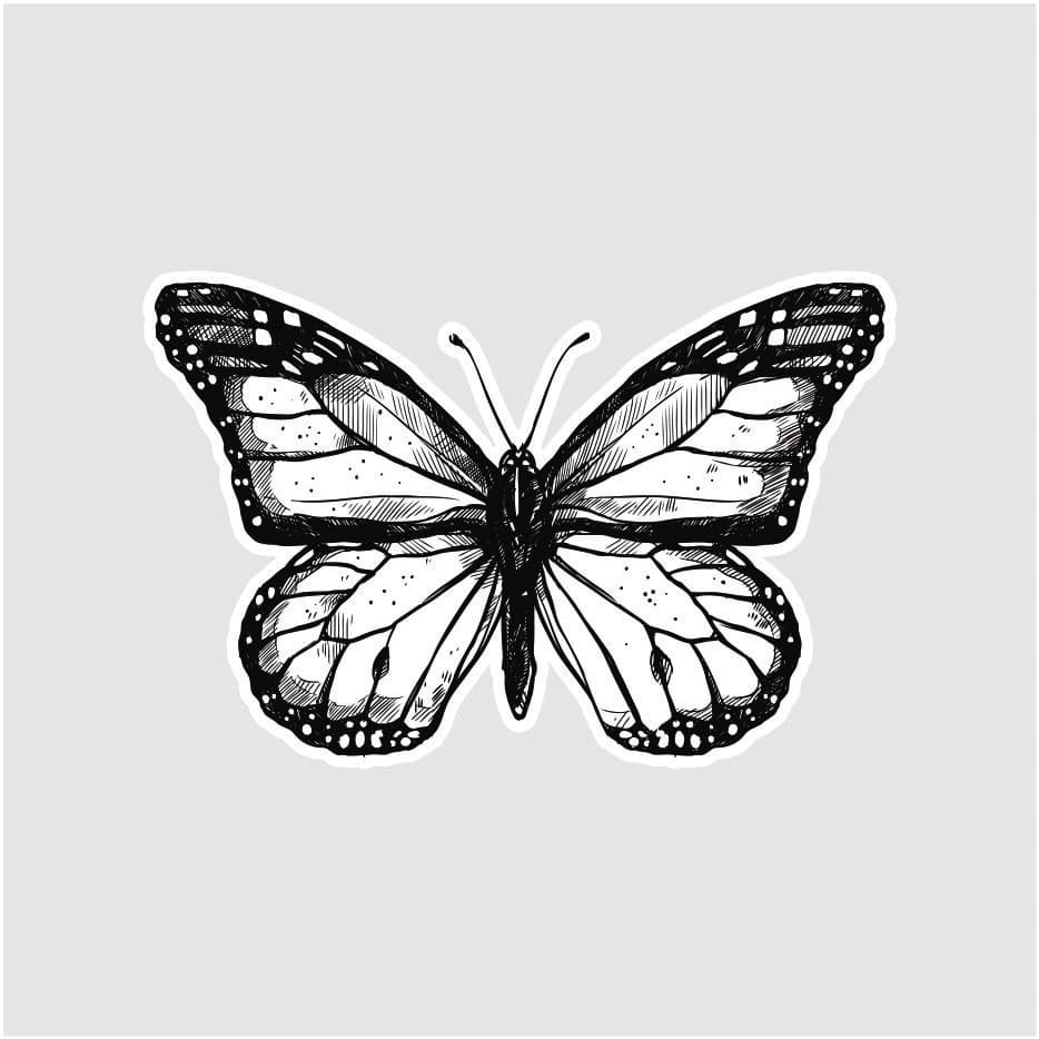 Kit 50 Adesivo Borboleta Linha Botânica 4x2,6cm Sticker Etiqueta