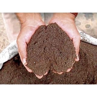 Esterco De Galinha De Cama De Esterco De Frango Curtido Limpo  Para Vasos Jardins