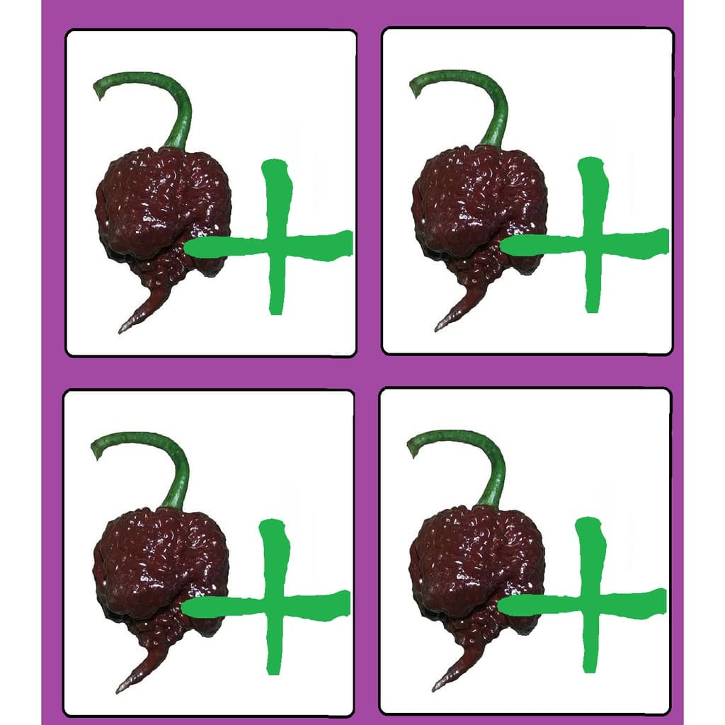 Carolina Reaper Chocolate ( + Forte Que A Vermelha) 50 Sementes