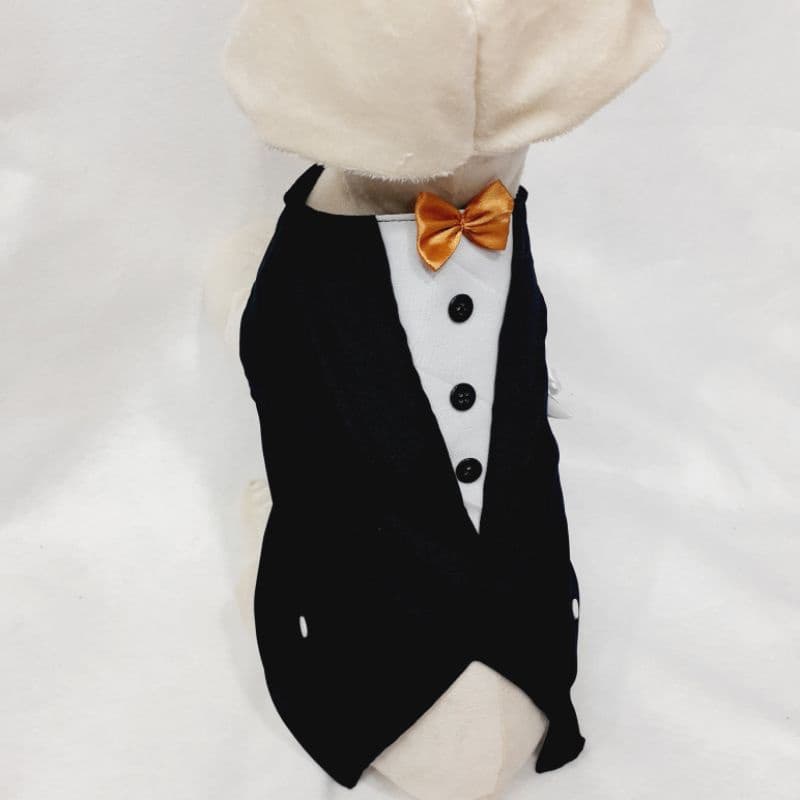 Roupa pet, fantasia pet Terno casamento pet,caes e gatos,