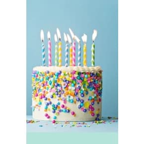 Vela de Aniversário Fina Palito Colorida - Kit com 24 velinhas e  12 bases de flor
