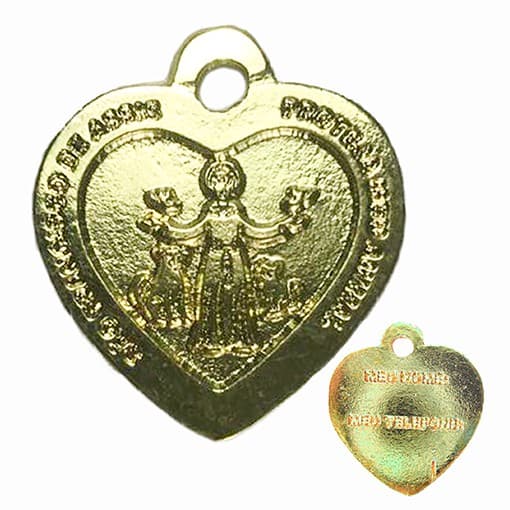 Medalha para Coleira de Pet Proteção São Francisco de Assis Pingente Pet para Cães e Gatos São Francisco de Assis