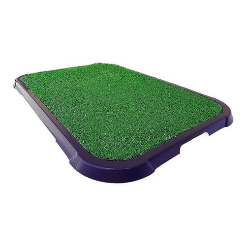 Sanitário Canino Xixi Dog Banheiro Pet Tapete Higiénico de Grama Cães.
