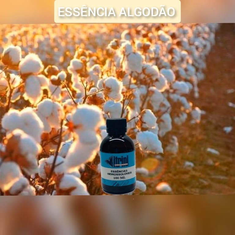 Essência Hidrossolúvel de 100 ML- Vitrini fragrância de Algodão