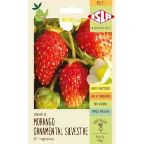 Sementes de Morango Silvestre - 50 mg - Isla