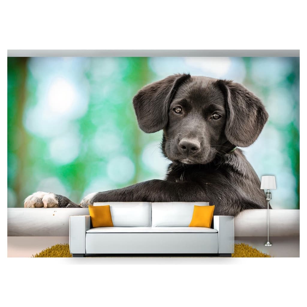 papel de parede Animais cachorro olhando 3D 7,5m² ANM228