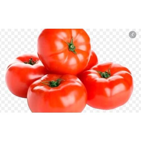 10 Sementes De Tomate Gaúcho