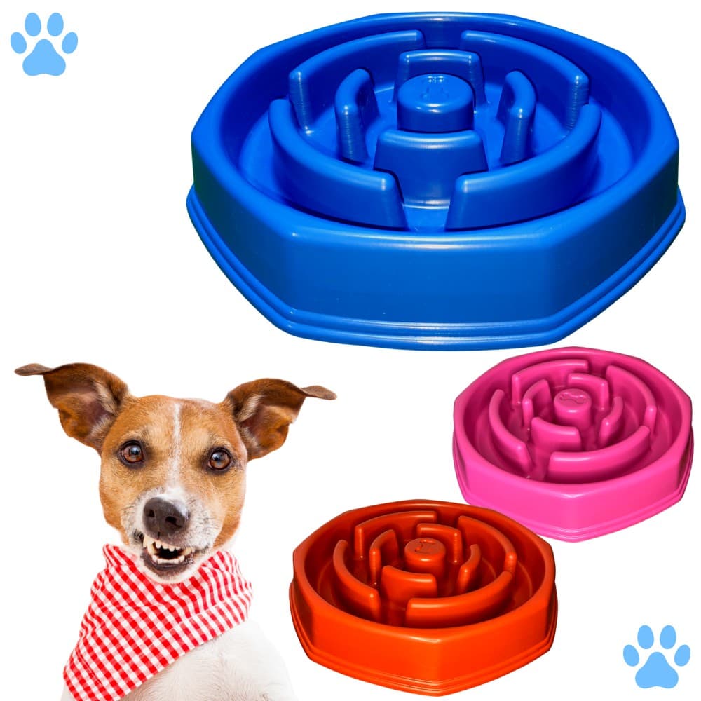 Comedouro Lento Educador Interativo de Plástico para Cães Envio Imediato