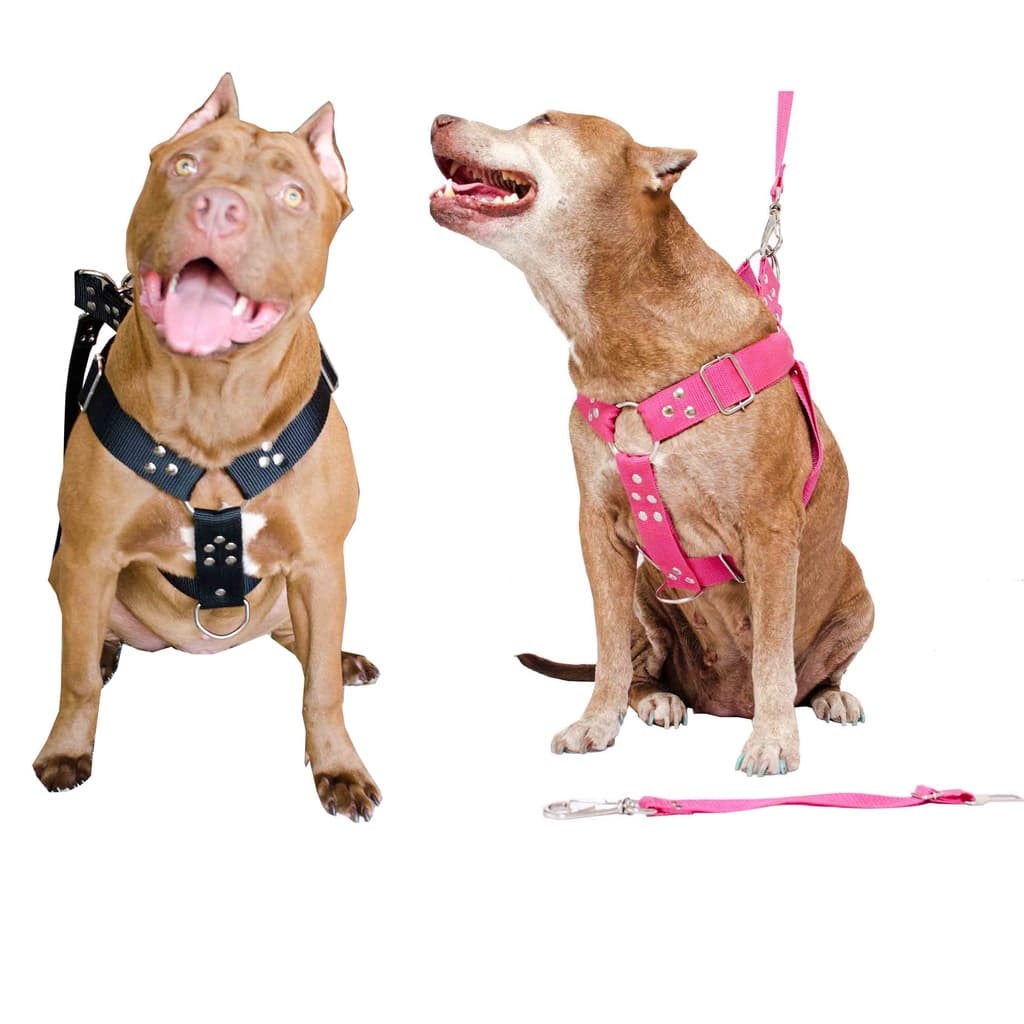 Peitoral Coleira Com Regulagem Guia Para Cães Reforçada Pitbull Labrador Golden Border Collie Pastor-Alemão