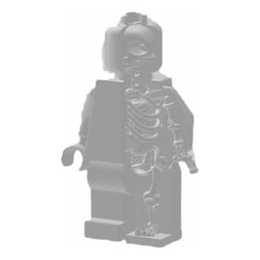 Anatomia Do Lego