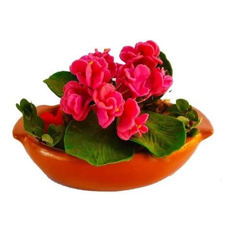 Vaso Decorativo Para Suculentas Cactos Cachepot De Barro Top