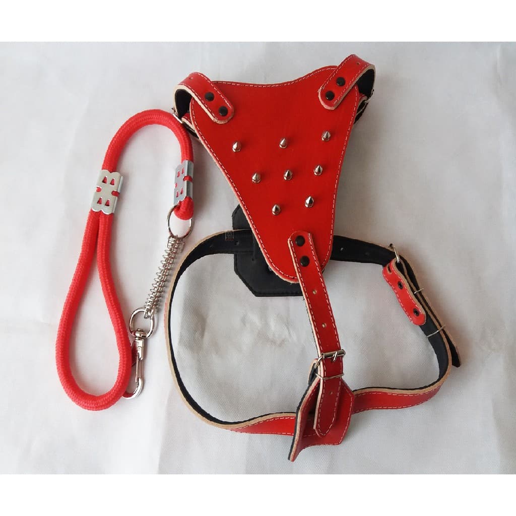 Peitoral cachorro estiloso de couro com guia reforçada e regulagem resistente BRINDE uma guia bem acabado peitoral para cachorros de todas as raças de medio e grande porte