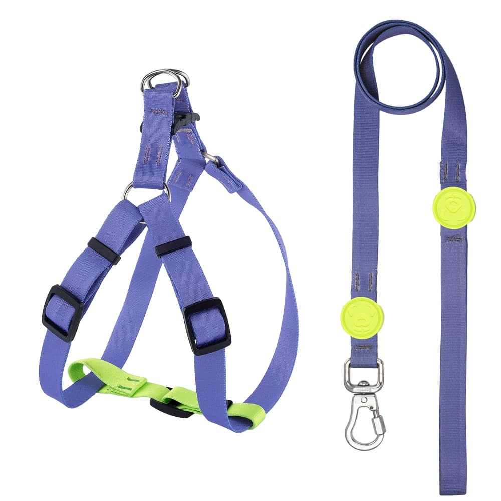 Conjunto Guia Peitoral Americano Para Cachorro Schrek