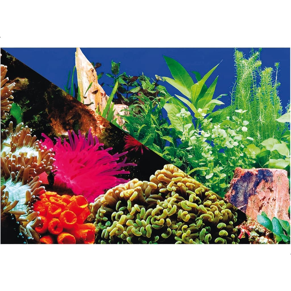 Enfeite Painel Imagem Para Aquario Doce Marinho 60x60cm N°4