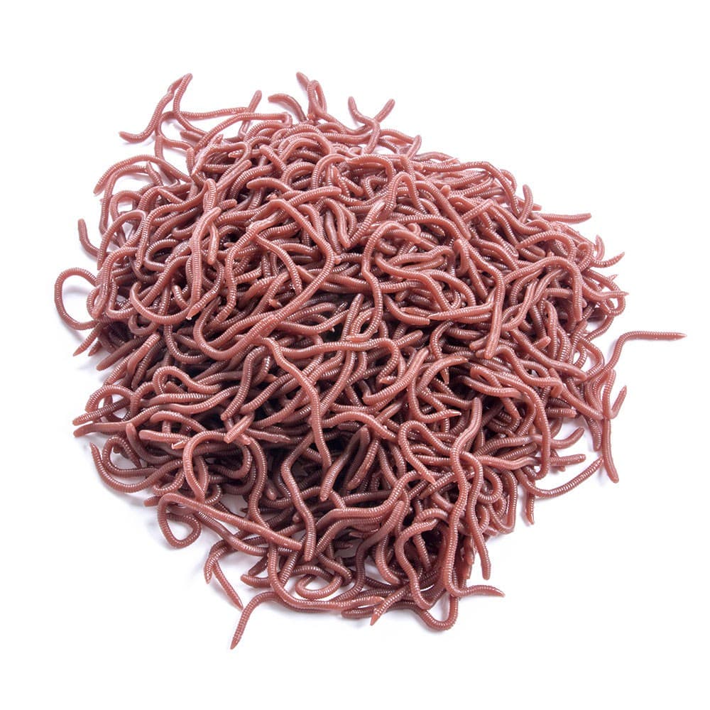 50 Pcs 10 Centímetros Simulação Macio Vermelho Iscas De Pesca Pet Cachecóis Equipamento Artificial W5