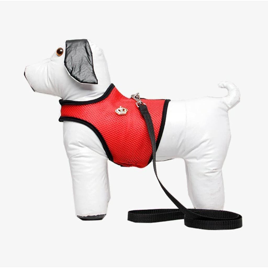 Peitoral Cachorro - Coleira Peitoral Colete com Guia