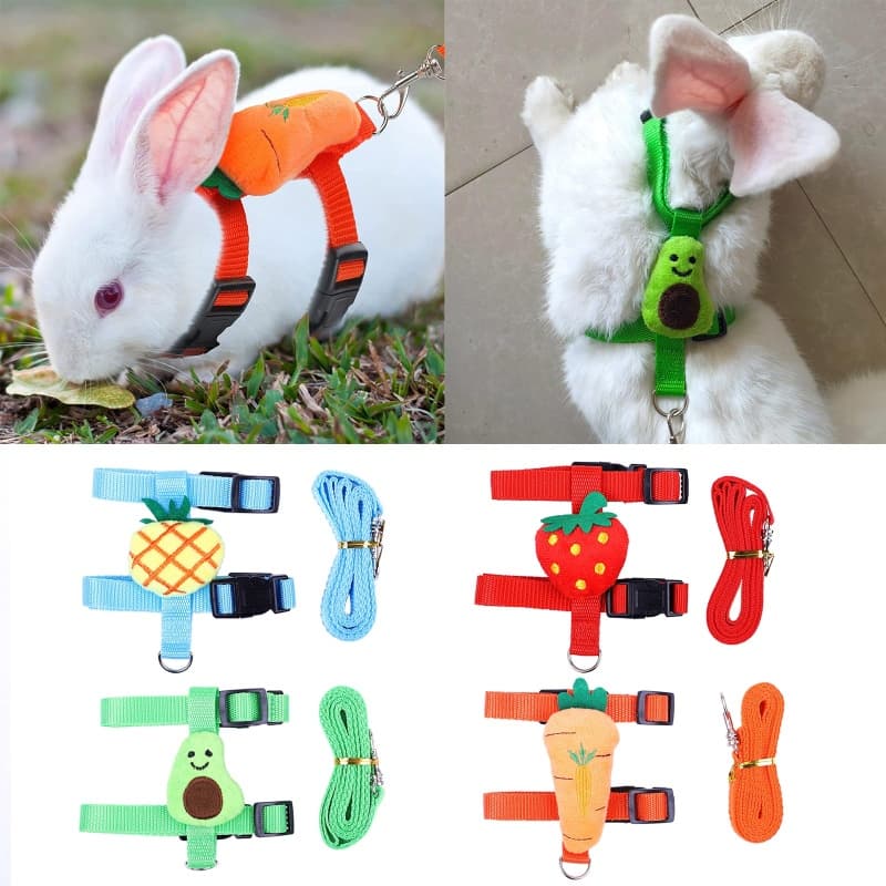 YU Conjunto De Coleira Para Cães Pequenos À Prova De Fuga Ajustável Coelho Hamster