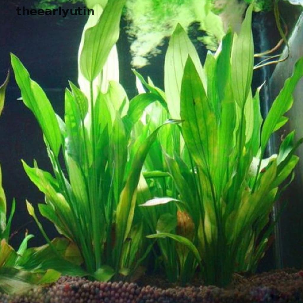 UTIN Plástico Manmade Planta De Água Grama Verde 15cm Altura Para Aquário