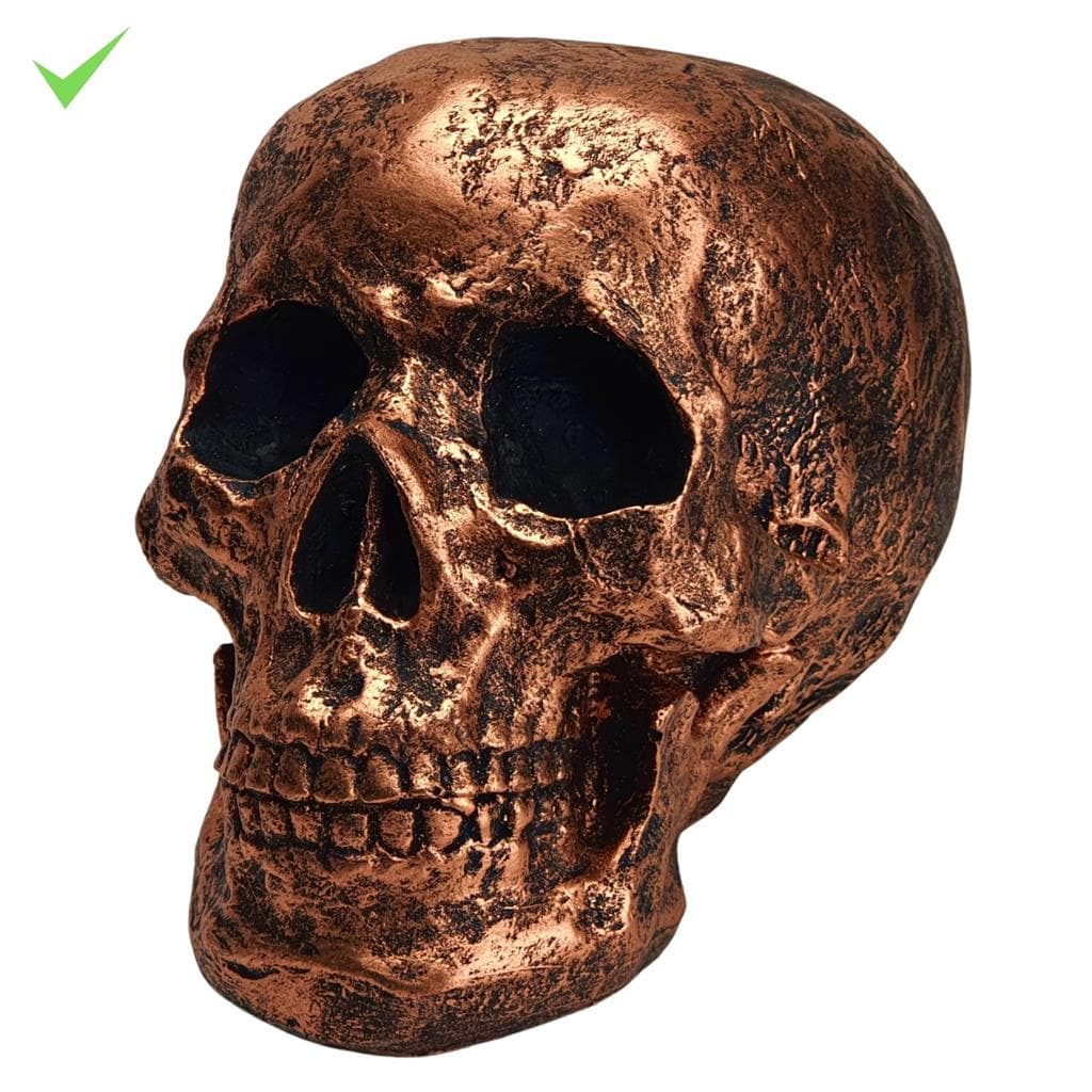 Cranio Caveira Tamanho Real bronze cooper Skull Decorativo