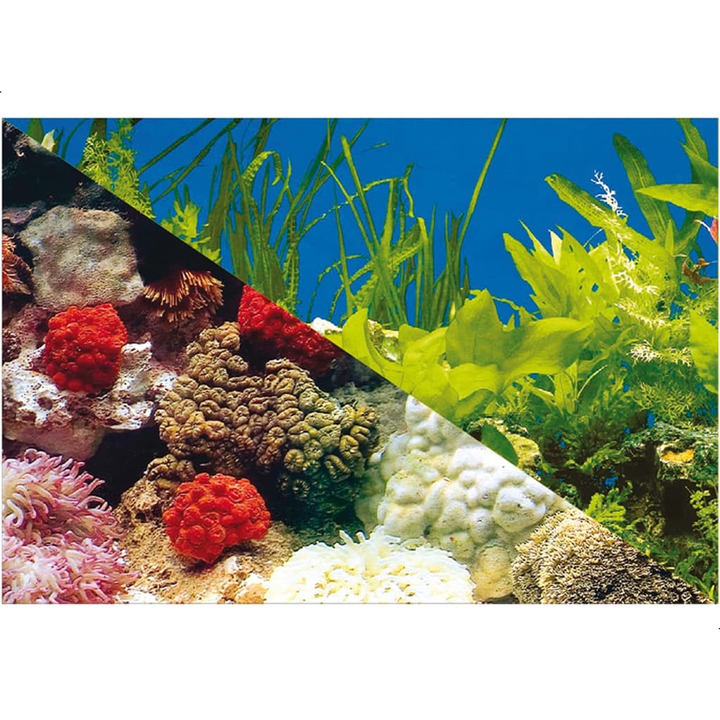 Enfeite Painel Imagem Para Aquario Doce Marinho 40x40cm N°2