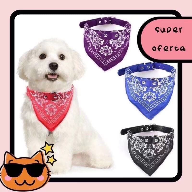 Coleira Bandana Cachorro - PORTE GRANDE - Coleira Cachorro PRODUTO A PRONTO ENTREGA!