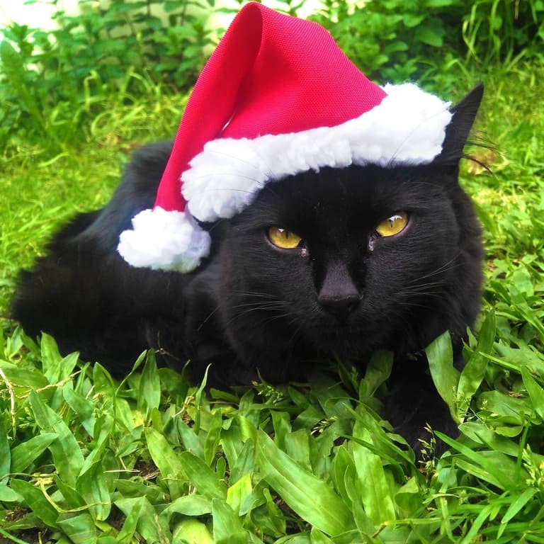 Gorro pet Natal para cachorro, gato e coelho, gorro  Noel FANTASIA PET NATAL