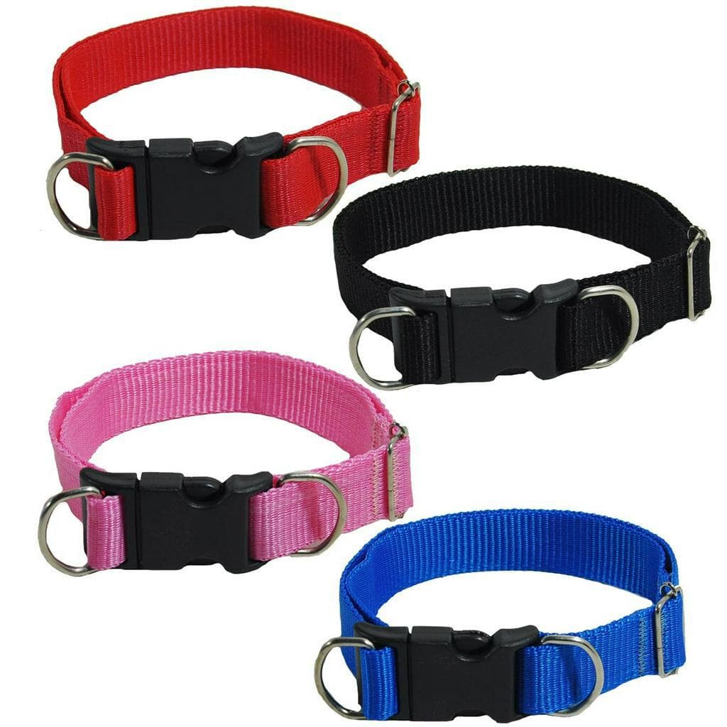 Coleira para Cachorro de Nylon Regulável P M G GG para Passeio Confortável
