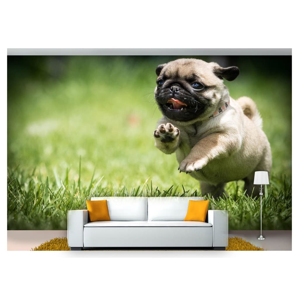 papel de parede Animais cachorro grama 3D 10m² ANM169