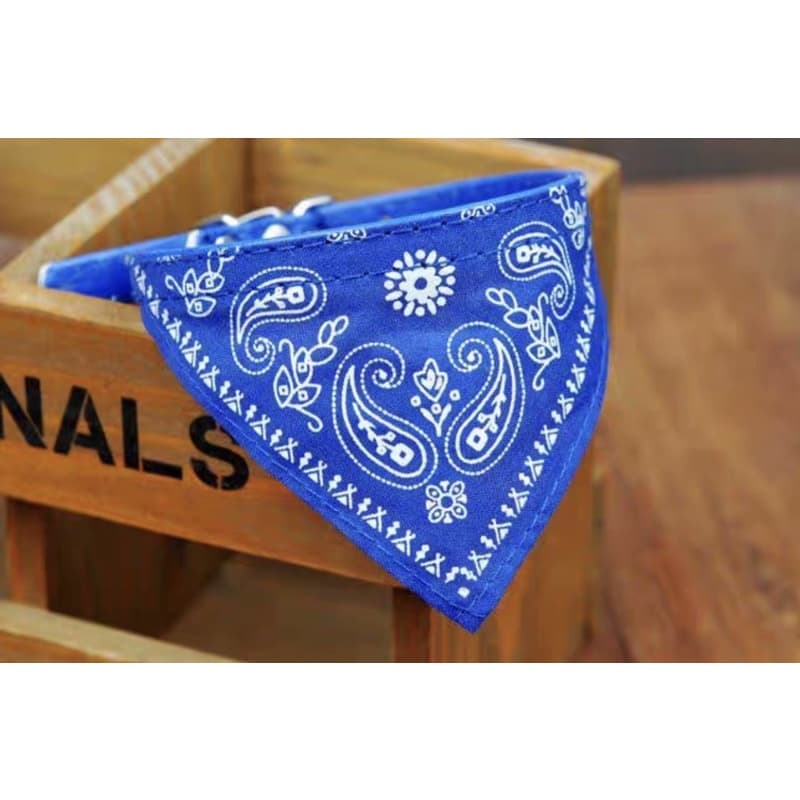 Coleira Bandana Gato/Cachorro Filhote - Coleira Para Gato - Coleira Cachorro