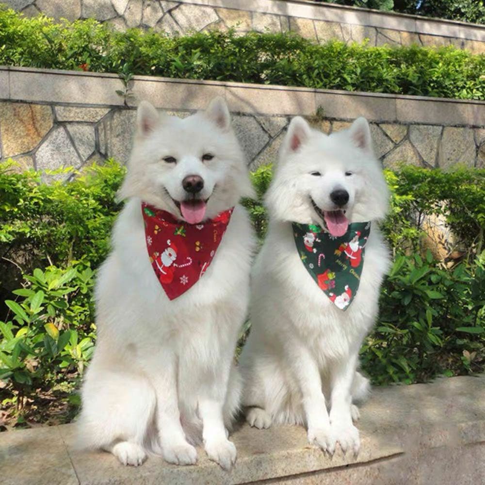 Coleira NATAL Bandana para Cachorro/gato cães - Porte Médio - Coleira Cachorro