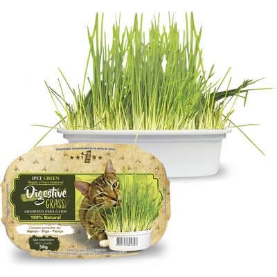 Graminha Para Gatos Digestive Grass IPet 50g