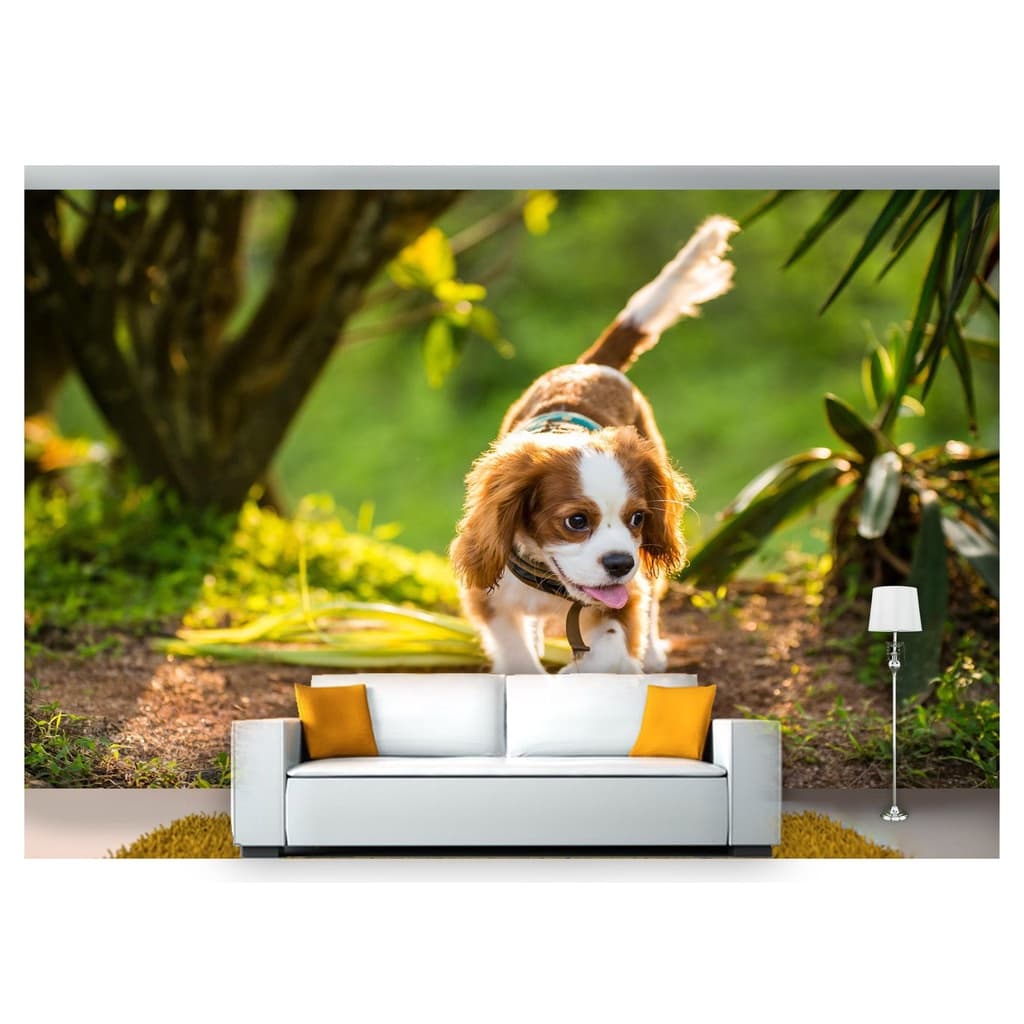 papel de parede Animais cachorro grama 3D 6m² ANM167