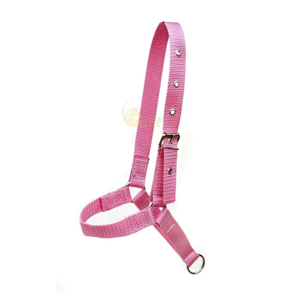 Cabresto Fita Nylon Para Vacas/Bezerros