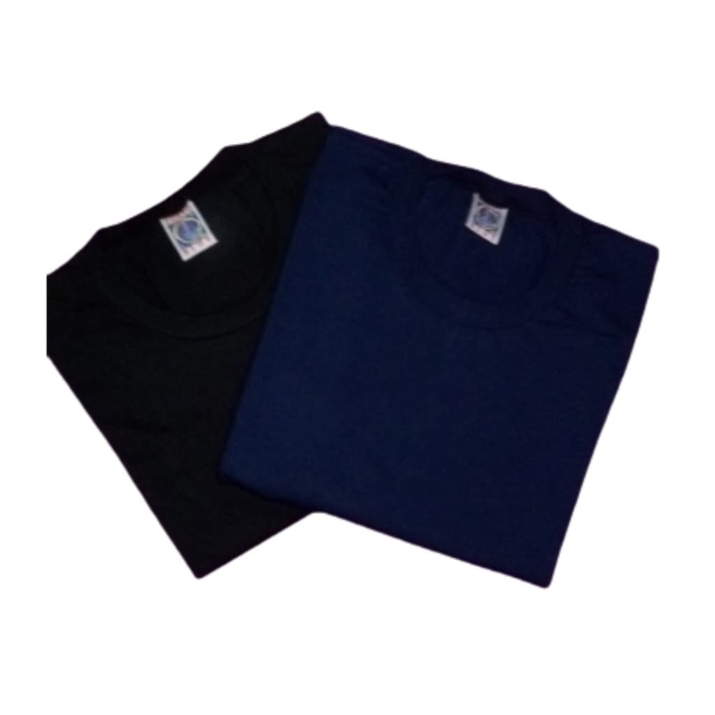 Kit 2 Camisetas Masculina Basic Algodão Robusto Colorida Atacado Lisa  Gola