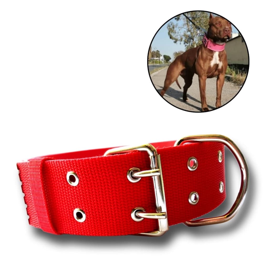 coleira para cachorro | coleira reforçada para cães porte médio grande | coleira fivela dupla 50mm