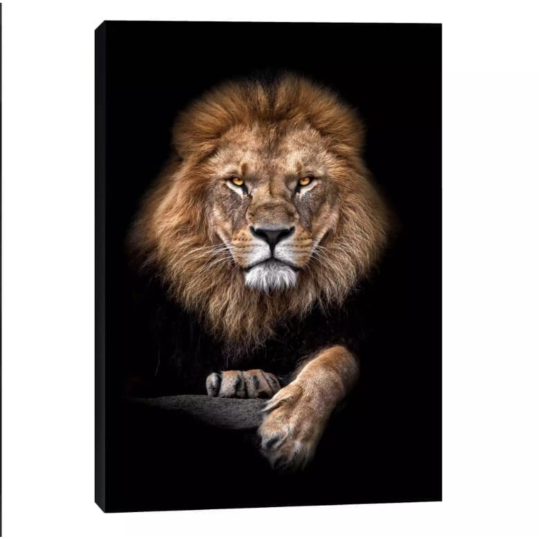Quadro decorativo 1 Tela Leão