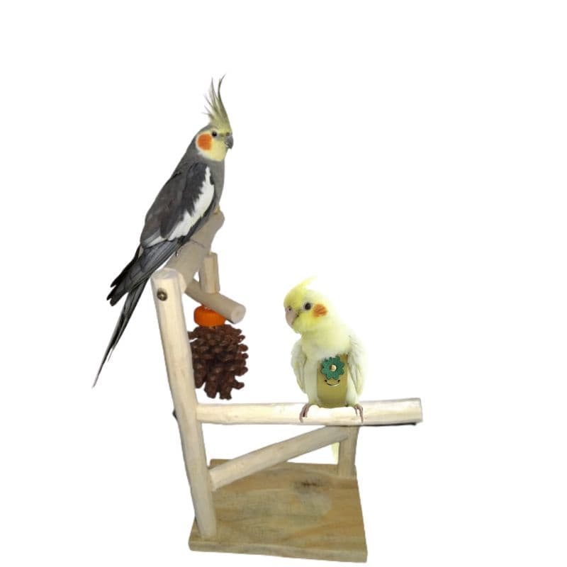 Mine poleiro rústico de galhos com brinquedos pinha para calopsitas e outros pássaros