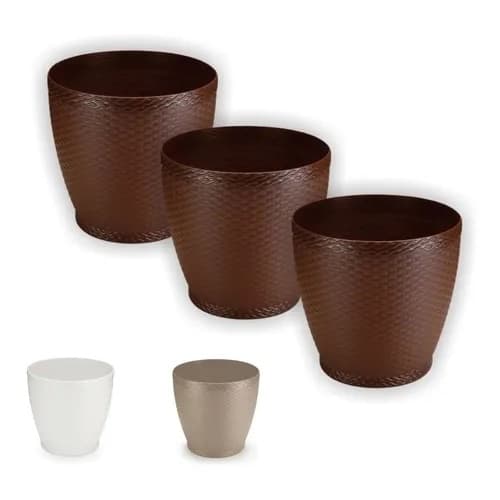 Vaso Rattan M2 Kit Com 3 Unidades Cachepos Violeta Suculenta