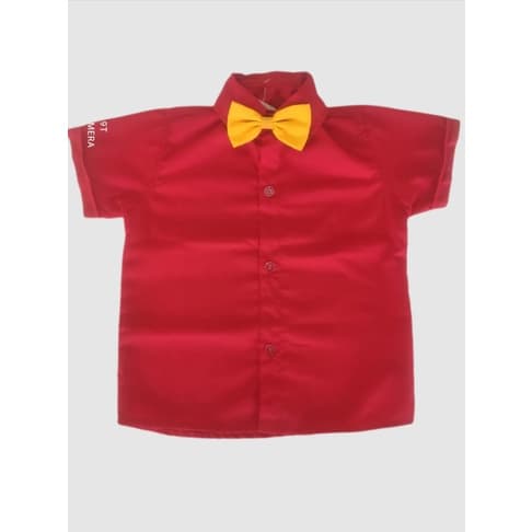 Camisa Ursinho Pooh Casual Festa de aniversário Roupas Infantis roupa para BEBÊS Roupa de menino