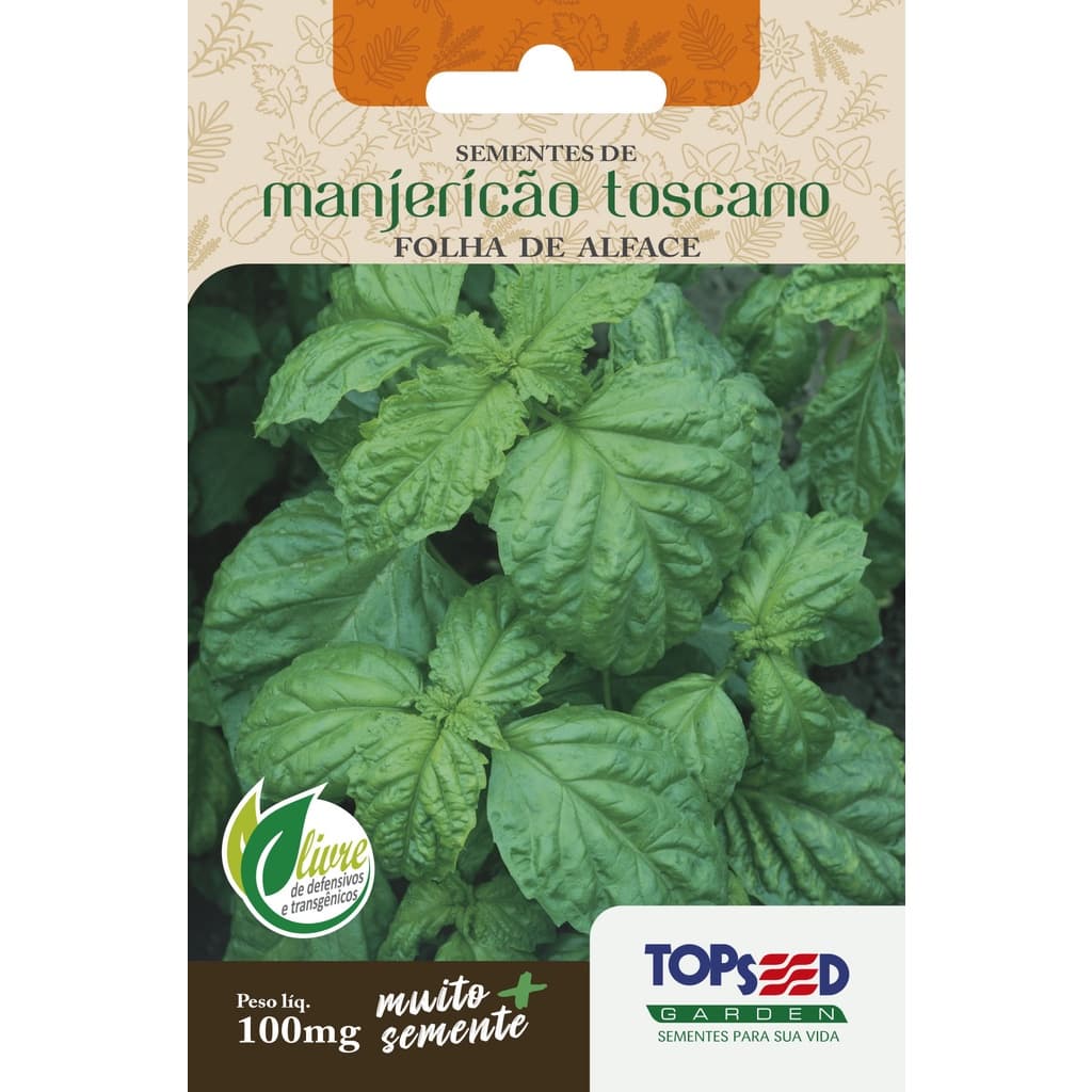 Sementes de Manjericão Toscano Folha de Alface Gigante 100mg para Horta Vaso Temperos e Molhos Topseed