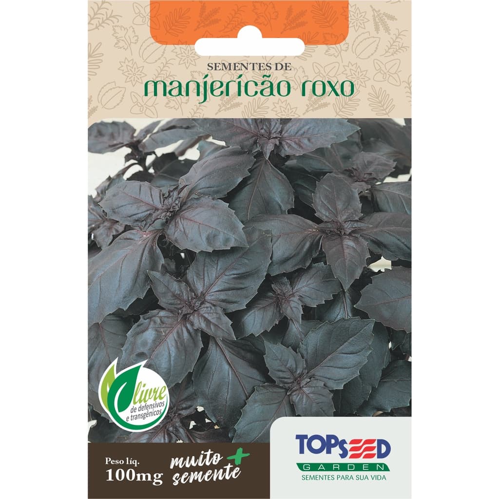 Sementes de Manjericão 100mg Ervas Temperos Horta Vasos
