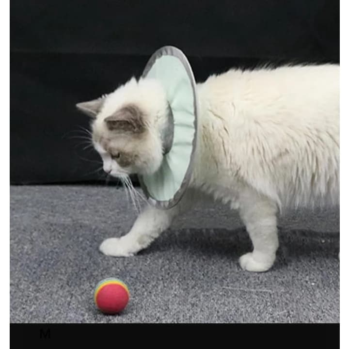 Coleira de gato coleira ajustavel cone cirúrgico  gatos e cães de pequeno porte