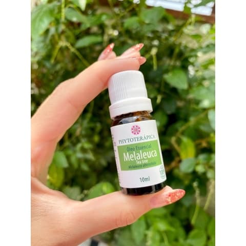 Óleo Essencial Melaleuca tea tree10ml100% Puro Phytoterápica  Aromatizante para Aromatizador Elétrico