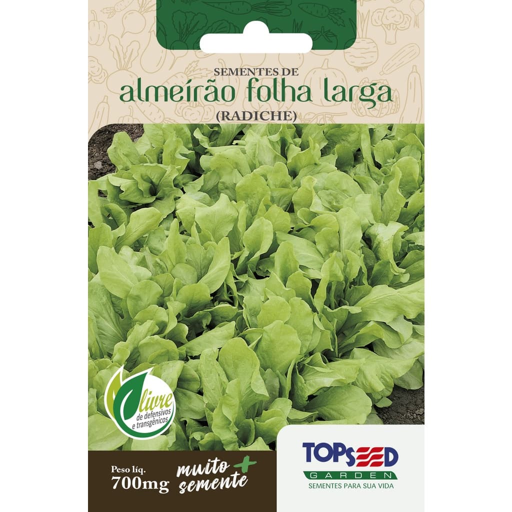 Sementes de Almeirão Folha larga Radiche Salada Cozinha Horta