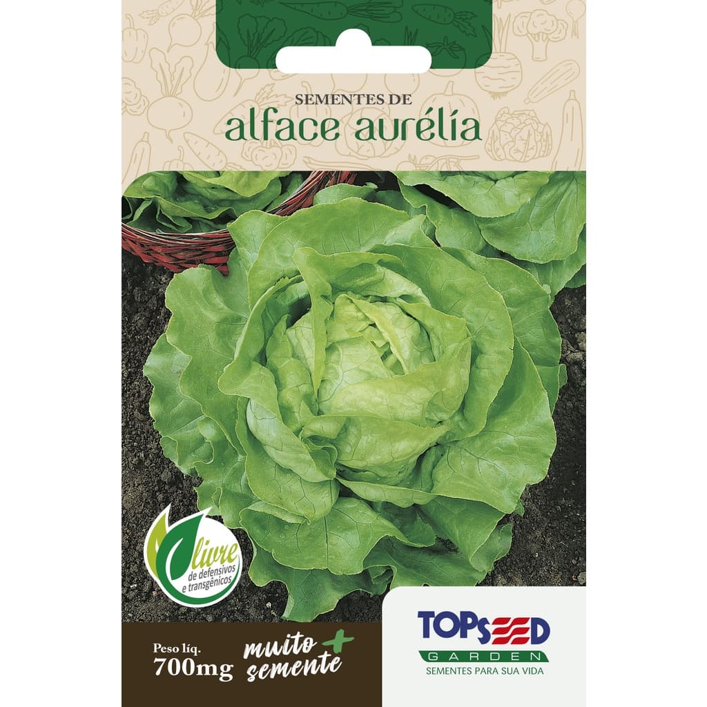Sementes de Alface Lisa Aurélia Manteiga 700mg Saborosa Saladas Horta