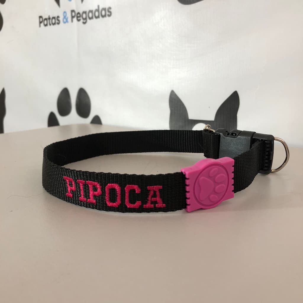 Coleira personalizada Cachorro Cão Gato varias cores resistente linda para passeio no parque viagem fita preta