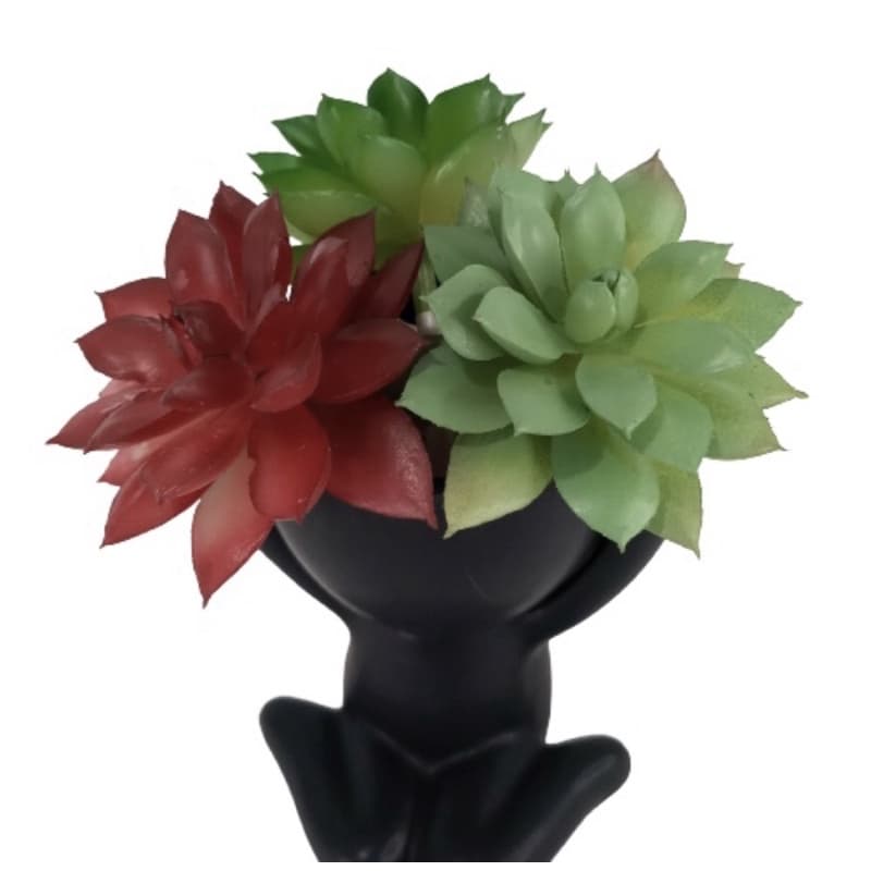 Planta Suculenta Artificial Sem Vaso, Somente a Planta - Decoração