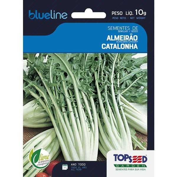 Sementes de Almeirão Catalonha Blue Line 10 Gramas Saladas Cozinha Horta