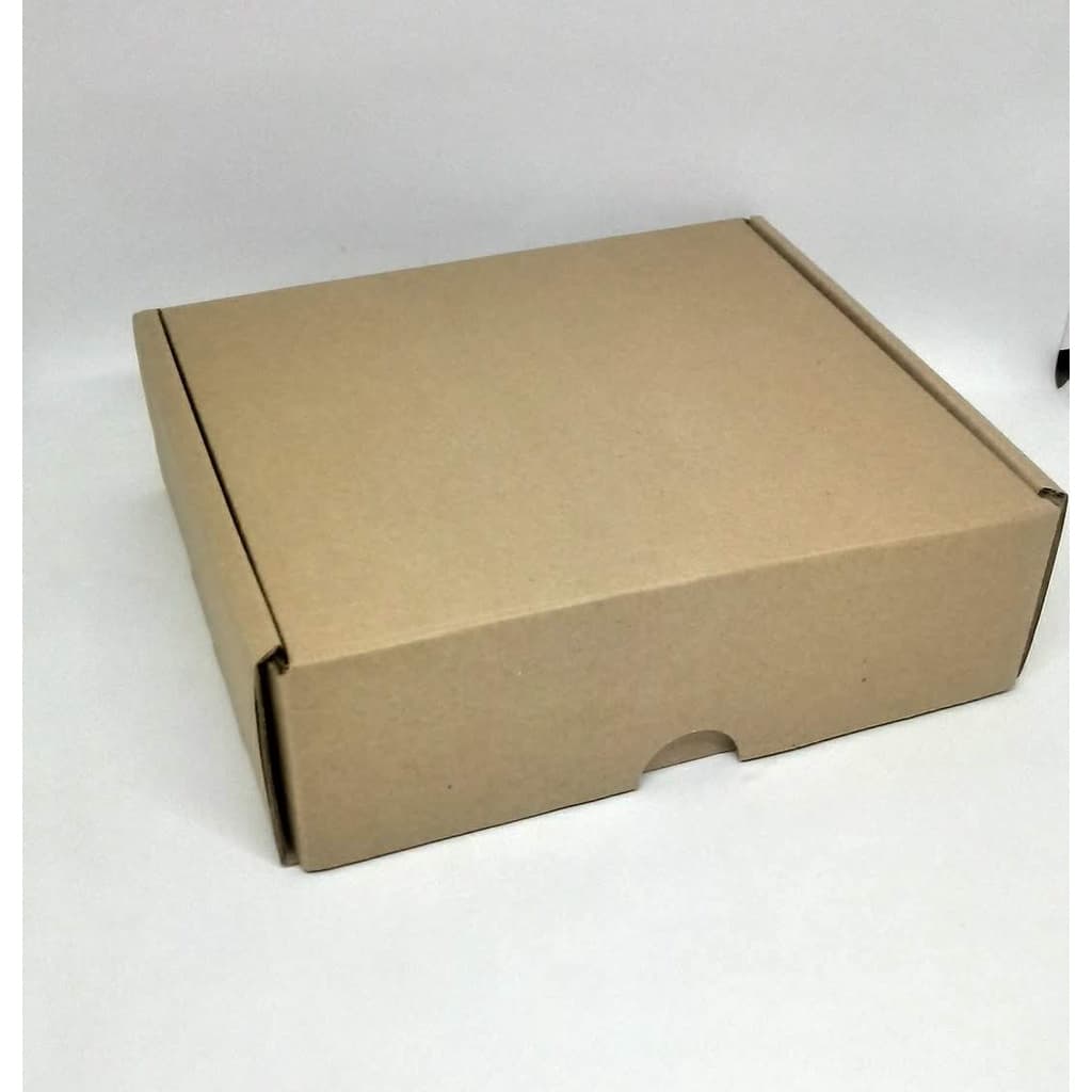 Caixa Papelão Correio PAC/SEDEX - 20,5 x 18,5 x 6