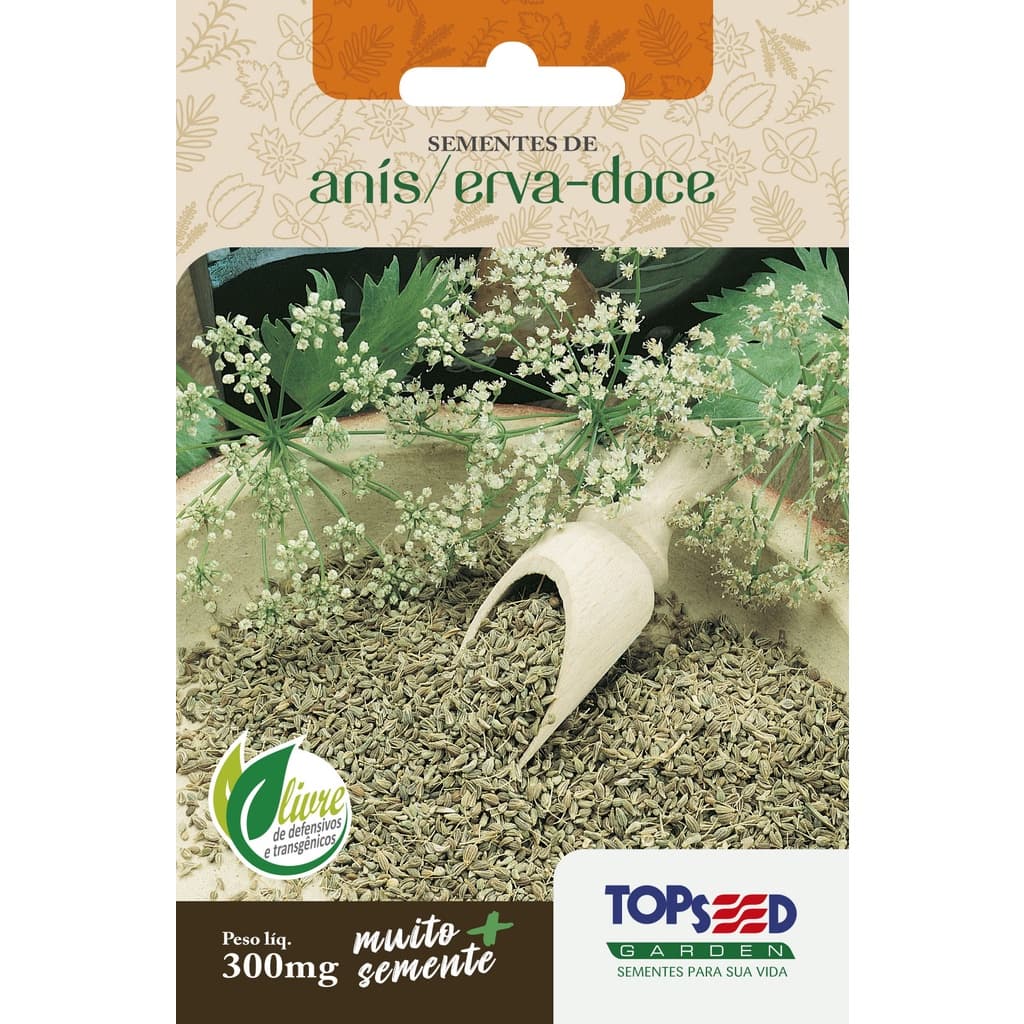 Sementes de Anis Erva Doce 300mg para Plantio em Horta e Vaso Chá Tempero Aromático